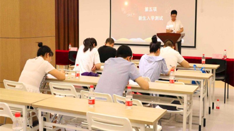 案例分析：以某机构课程体系为例